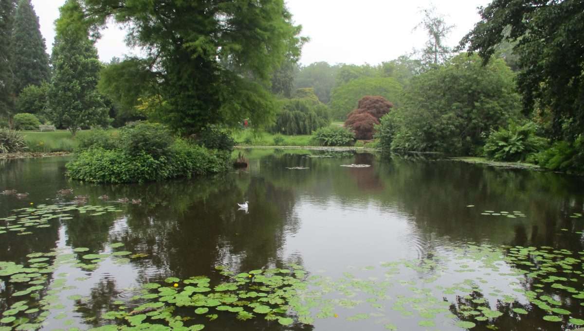 A Wonderful Day Out to Wakehurst Place for Crossways Residents