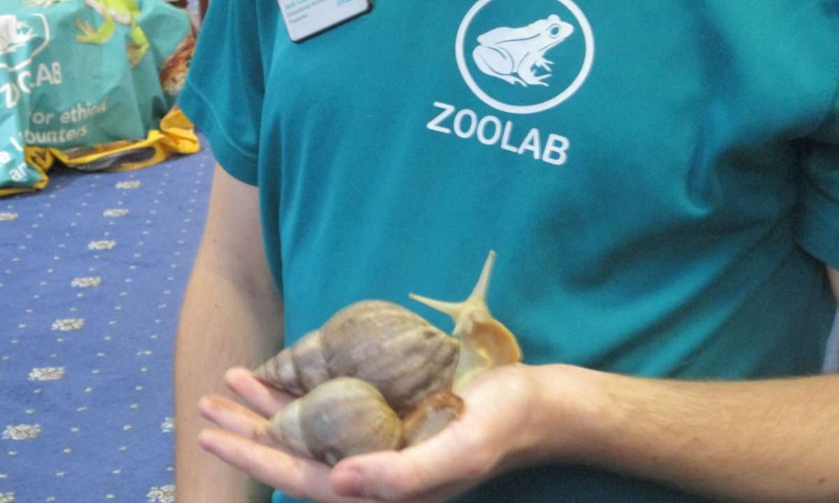 An Exciting Visit from ZooLab UK at Crossways Care Home